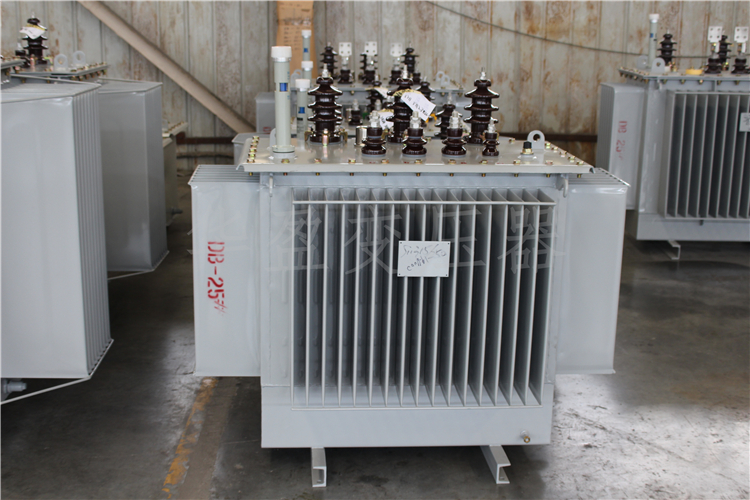 大理S20-800kVA/10kV/0.4kV变压器